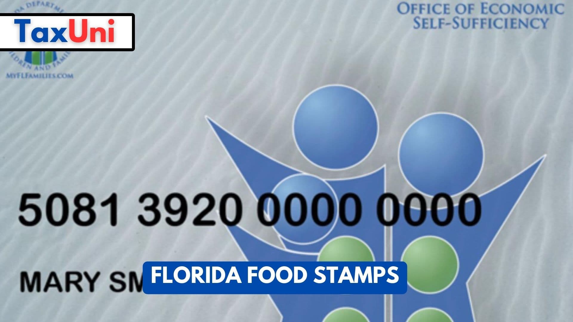 Food Stamps Slc